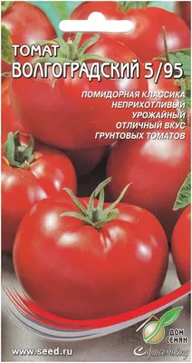 Купить постер (плакат) Рабочий и колхозница на стену для интерьера