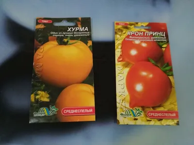 Сорта помидоров, выращиваемые огородниками | Parnishka Molodoi | Дзен