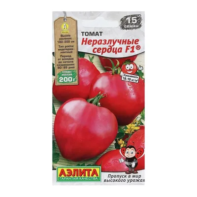 И даже помидоры! Пять продуктов, которые раздражают мочевой пузырь