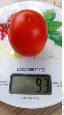 Мои урожаи 🍅🍅🍅🍅🍅 #огород2023 #помидоры #теплица | TikTok
