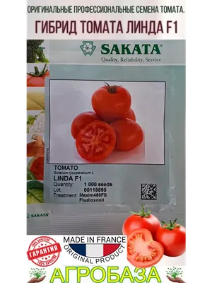 Томаты от Sakata. Помидоры Генерал, Белла роса, Линда. Сколько весят, какие  они внутри. - YouTube