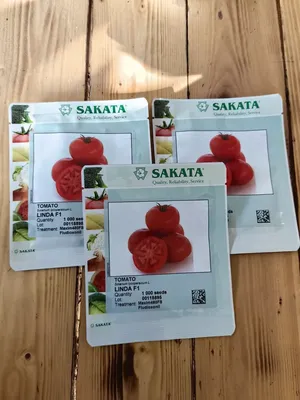 Семена Томат Линда F1 SAKATA Агробаза 193031767 купить за 3 600 ₽ в  интернет-магазине Wildberries