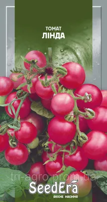 Томат \"Линда\" ТМ \"Весна\" 0.1г купить почтой в Одессе, Киеве, Украине |  Agro-Market