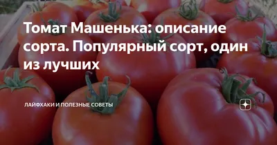 Томат Машенька, 0,1 г / по 4 уп - купить по выгодным ценам в  интернет-магазине OZON (826460188)