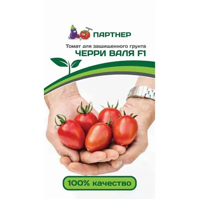 Томат Машенька 20 шт. купить оптом в Томске по цене 13,14 руб.