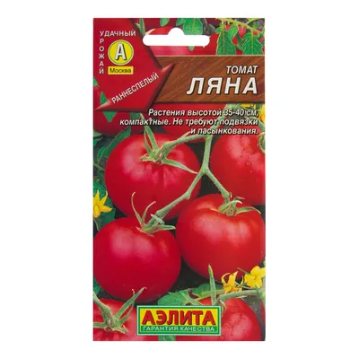 Помидоры ВкусВилл: выбираем из красных, розовых и жёлтых | Новости и статьи  ВкусВилл: Москва и область