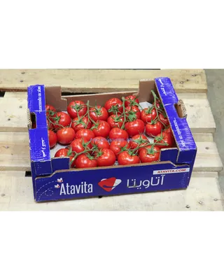 Купить помидоры на ветке в Fruitonline