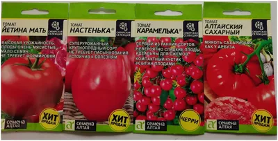 Настенька — МИР ТОМАТОВ