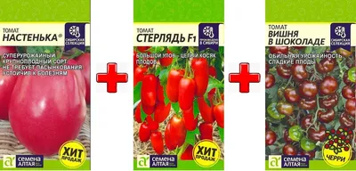 Томат «Настенька»: характеристика сорта, урожайность и вкусовые качества |  Идеальный огород | Дзен