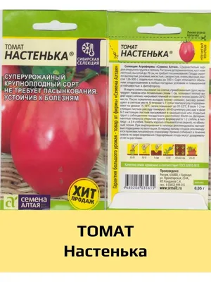 Настёна и Настенька - два томата для сравнения | Глоток воздуха | Дзен