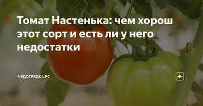 Семена Томат \"Настенька\", 0,05 г за 135 ₽ купить в интернет-магазине ПСБ  Маркет от Промсвязьбанка