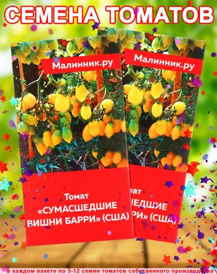 ТОМАТ НАСТЕНЬКА. ДЕГУСТАЦИЯ. Ольга Чернова 10 июля. - YouTube