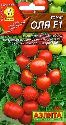 Удивительно СОЧНЫЙ, АРОМАТНЫЙ и УРОЖАЙНЫЙ томат! Обзор сортов ТОМАТОВ!  Советы от ЗЕЛЕНОГО ОГОРОДА! - YouTube