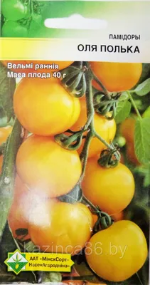 Сорт томатов - Ольга - Супер урожайный крупноплодный красный сорт.