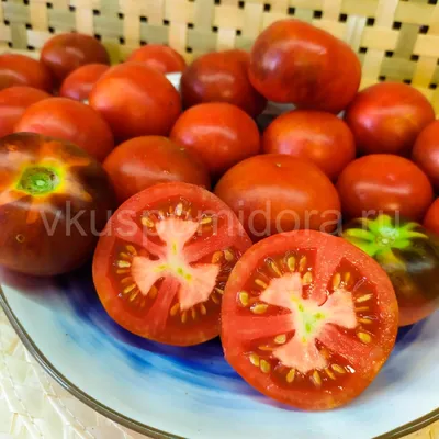 https://dzen.ru/a/YkCBOoQhcU0Piv8g