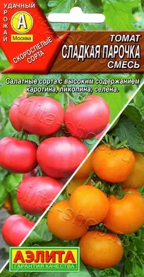 Палочка для поддержки растений, держатель для томатов, фруктов, рамы для  садовых растений, инструмент для сада, инструменты для сельского хозяйства  | AliExpress