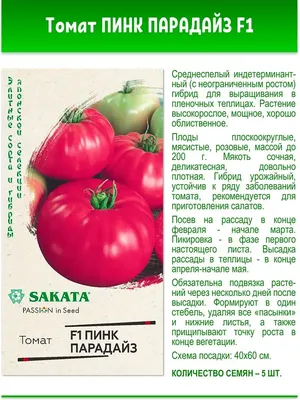 Решили с женой сажать только два вкусных, красивых и урожайных томата: один  в теплицу, а другой – в открытый грунт, показываю. | Время почитать | Дзен