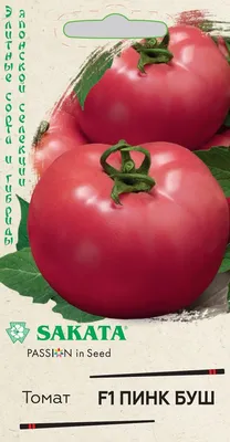 ✓ Семена Томат Пинк Буш F1, 5шт, Гавриш, Элитные сорта и гибриды, Sakata по  цене 96 руб. ◈ Большой выбор ◈ Купить по всей России ✓ Интернет-магазин  Гавриш ☎ 8-495-902-77-18