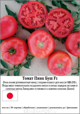 Помидоры Fuji Pink F1 цена | pigu.lt