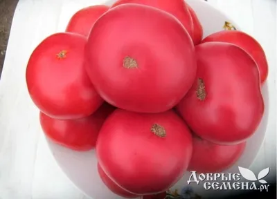 Пинк Парадайз F1 - розовый томат, купить в Добрые Семена.ру, в Москве