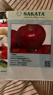Розовые помидоры: сравниваем томаты \"Пинк Парадайз\" за 700 рублей с  томатами с рынка за 350 рублей | Зачем Платить Больше | Дзен