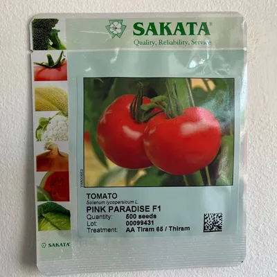 Продам/купить помидор розовый сорт \"Пинк Парадайз\" оптом от производителя —  Agro-Russia