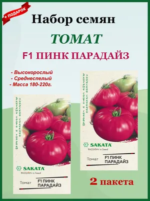 Томат Пинк парадайз: описание и характеристика сорта, особенности  выращивания и посадки, время созревания и сбора урожая, отзывы, фото