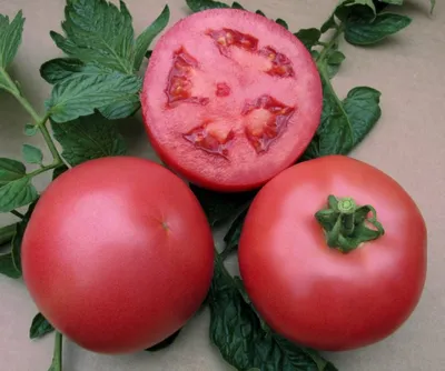 Пинк Параллель, лучший томат в сегменте Пинк Парадайз для осени! - YouTube