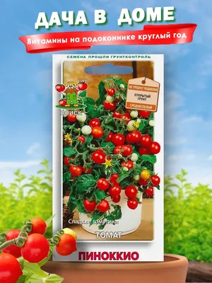 Томат Пиноккио оранжевый (сем. Россия) 20 шт.