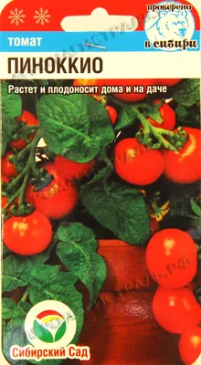 Помидоры сорт Пиноккио , цена 2 р. купить в Витебске на Куфаре - Объявление  №196748615
