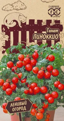 ✓ Семена Томат Пиноккио, 0,05г, Гавриш, Ленивый огород по цене 0 руб. ◈  Большой выбор ◈ Купить по всей России ✓ Интернет-магазин Гавриш ☎  8-495-902-77-18