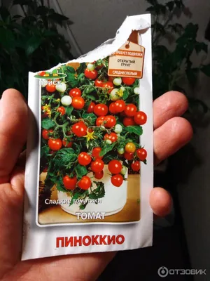 Семена Детская грядка Томат Пиноккио 0.05 г 122810 (арт. 19490652) — купить  с доставкой