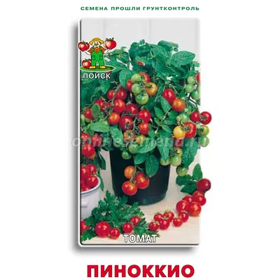 Семена Darit \"Томат Пиноккио\" | отзывы