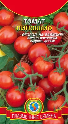 Отзыв о Семена томата Поиск \"Пиноккио\" | Низкорослый, неприхотливый,  стабильно плодоносит, не требует особого ухода