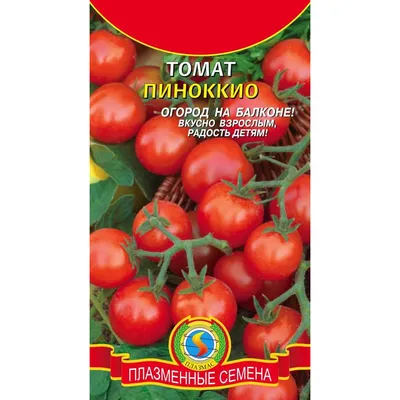 Семена Томат Пиноккио (а/ф Уральский Дачник) купить за 23 р. в садовом  центре АСТ Медовое