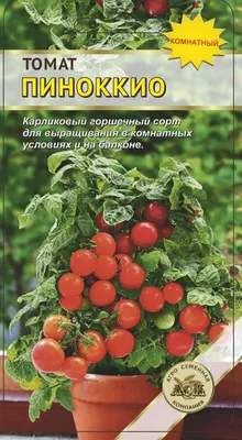 Томат Пиноккио желтый (сем. Россия) 20 шт.