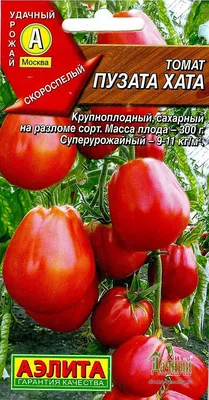 Семена томат Пузата хата F1 купить в Могилеве