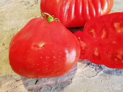 Томат \"Пузата Хата\" от Аэлита - «Пузата Хата от Аэлиты - томаты интересной  формы, но не для открытого грунта» | отзывы