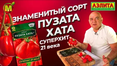 Томат Пузата хата: отзывы, описание, характеристика, фото