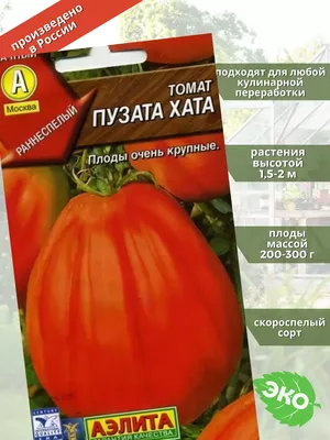 Мой урожайный томатный год - Журнал Хозяин