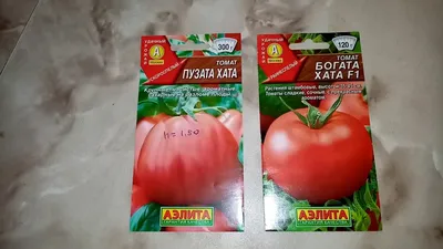Семена томата Пузата Хата 0.1 г купить в Украине с доставкой | Цена в  Svitroslyn.ua