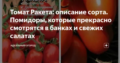 Томат Ракета: описание и характеристика сорта, отзывы тех, кто сажал, фото,  особенности выращивания помидоров, посадка и уход за рассадой