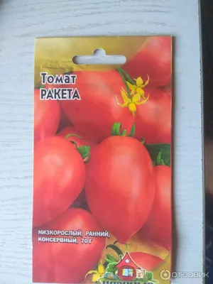 Томат Желтая Ракета можно купить недорого с доставкой в питомнике Любвитский