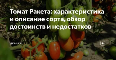 Семена Удачные семена Томат Ракета - «Первое знакомство с томатом \"Ракета\"»  | отзывы