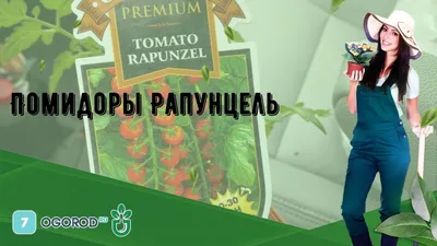 Мягкие помидоры | Экологические | LIVIN
