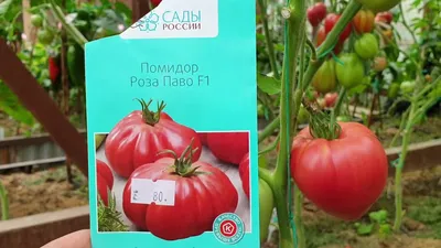 Томат Запотек розовый ребристый, семена | ОГОРОД.сайт