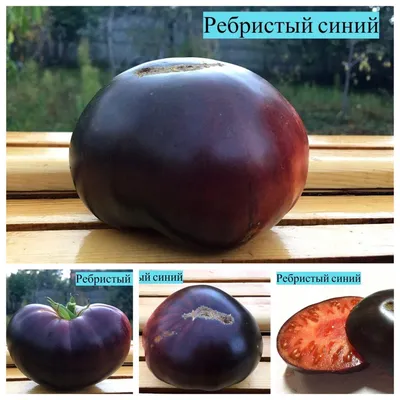 САЛЬСА ИЗ ПОМИДОР (SALSA POMODORO) - красный плоский томат