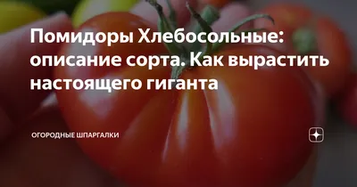 Хлебосольный - Х — сорта томатов - tomat-pomidor.com - отзывы на форуме |  каталог