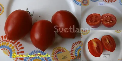 Хлебосольный - Х — сорта томатов - tomat-pomidor.com - отзывы на форуме |  каталог