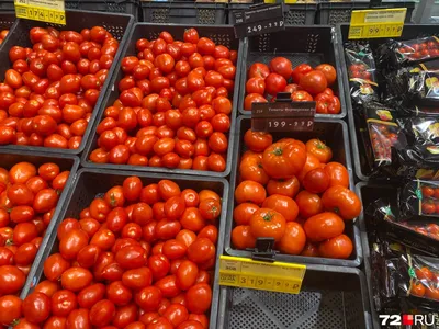 Мои любимые томаты — ВСП.RU